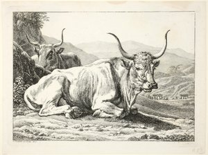 Deux taureaux romains au repos, de Die Zwiete Thierfolge