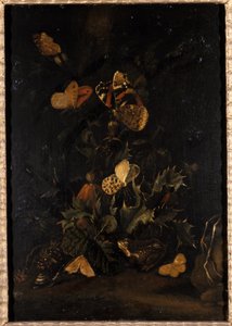 Fleurs avec papillons et crapaud