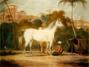 La jument royale de Charles II - Johann Christof Sartorius