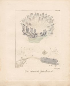  - Johann Christoph Bock