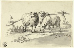 Moutons
