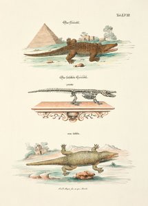  - Johann Daniel Meyer