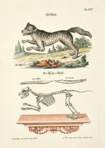  - Johann Daniel Meyer