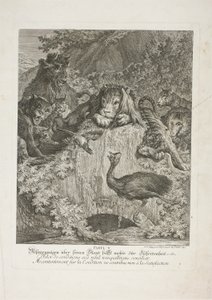 Fable V, planche cinq de Lehrreiche Fabeln aus dem Reiche der Theire - Johann Elias Ridinger