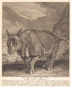 Rhinocéros
