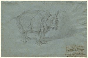 Le rhinocéros "Miss Clara"