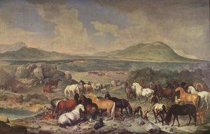 Les Écuries Impériales avec des chevaux Lipizzan