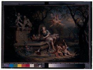 Narcisse reflété dans un puits - Johann Georg Platzer