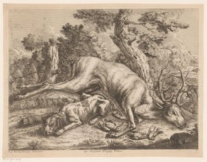 Chien de chasse et gibier avec cerf et oiseaux (série: Gibiers de chasse) - Johann Georg Wachsschlunger