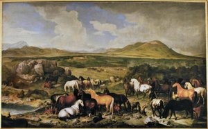 Lippizaner - Johann Georg de Hamilton