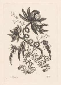 Fleurs avec baies (Fleures Baroque) - Johann Heinrich  Hess