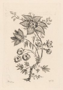 Fleurs en forme d