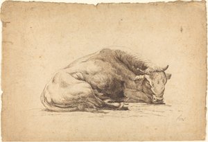 Un taureau dormant