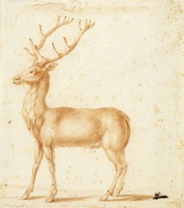Un cerf, 17e siècle - Johann Heinrich Roos
