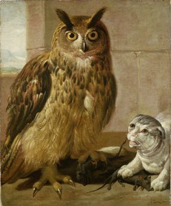 Hibou grand-duc et chat avec des rats morts
