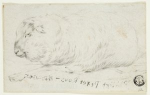 Mouton couché