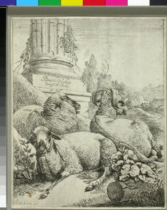  - Johann Heinrich Roos