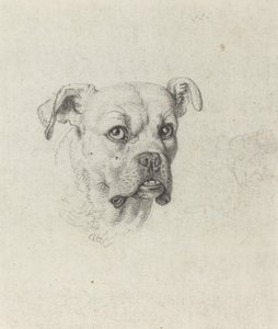 Un boxeur - Johann Heinrich Wilhelm Tischbein
