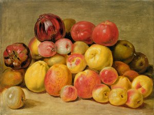 Morceaux de fruits
