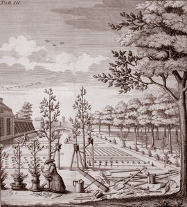 Illustration d
