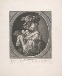 La Tourterelle - Johann Jacobus Haid