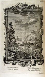 Gravure sur cuivre de 