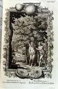 Gravure sur cuivre de 