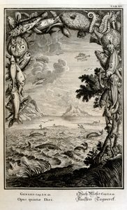 Gravure sur cuivre de 