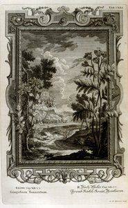 Illustration - Johann Jakob Scheuchzer