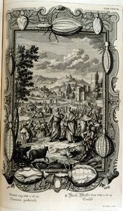 Plaie des poux et des moucherons - Johann Jakob Scheuchzer