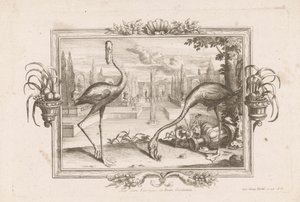Deux flamants - Johann Jakob Stelzer