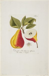 Die gute Christbirn aus Spanien de 