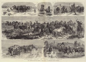 La vie parmi les chevaux sauvages de la Puszta, ou la campagne hongroise
