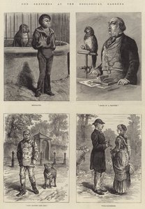 Croquis divers au jardin zoologique - Johann Nepomuk Schonberg