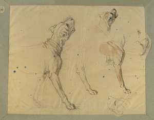 Étude de chien pour "Le retour du milicien" (1820)