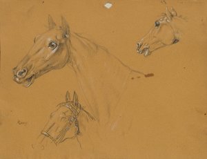 Étude de cheval pour "L