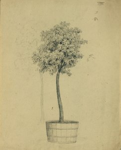 Étude d