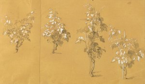 Vigne, étude pour "Hermann et Dorothea dans le vignoble" - Johann Peter Krafft