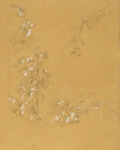 Vigne, étude pour "Hermann et Dorothée dans le vignoble"