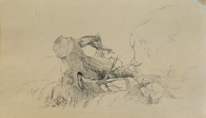 Racines, arbre renversé - Johann Peter Krafft
