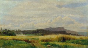 Champ de blé avec vieille femme - Johann  Till der Jüngere
