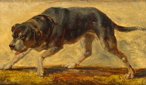 Étude de chien - Johann  Till der Jüngere