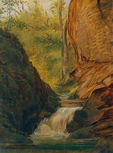 Ruisseau forestier