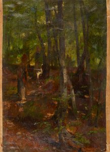 Paysage forestier - Johann  Till der Jüngere