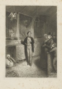 Animaux regardant - Johann Wilhelm Kaiser (I)