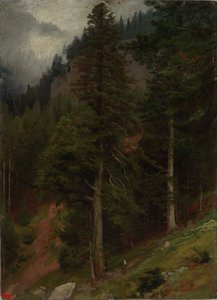 Pente dans une forêt de sapins - Johann Wilhelm Schirmer
