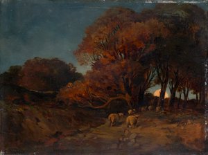 Forêt automnale au clair de lune