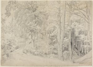 Dans la hêtraie - Johann Wilhelm Schirmer