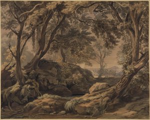 Paysage forestier avec vue sur Olevano et le Monte Cavo - Johann Wilhelm Schirmer
