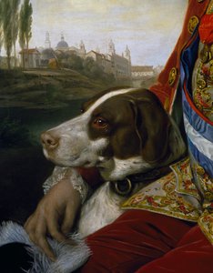 Chien, détail du portrait de Ferdinand de Bourbon, duc de Parme